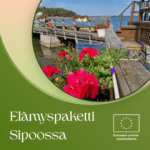 Ta en paus från vardagen – upplev en magisk dag på landsbygden!